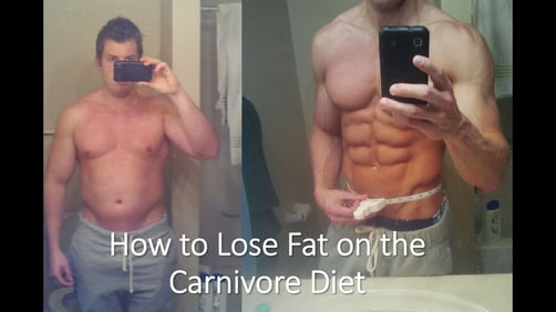 Kevin Stock Carnivore diet fat loss